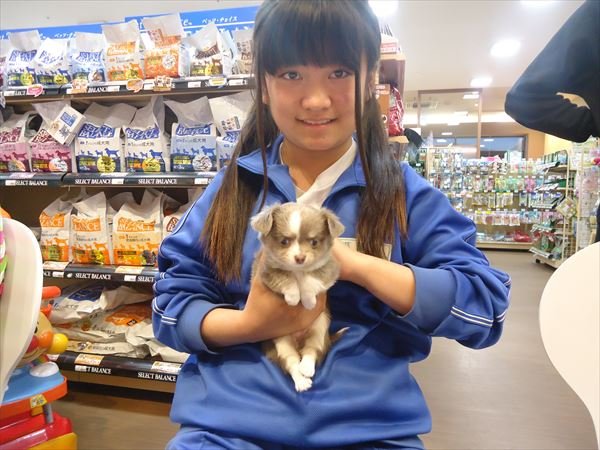 写真