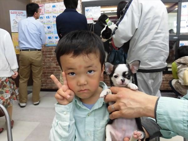 写真