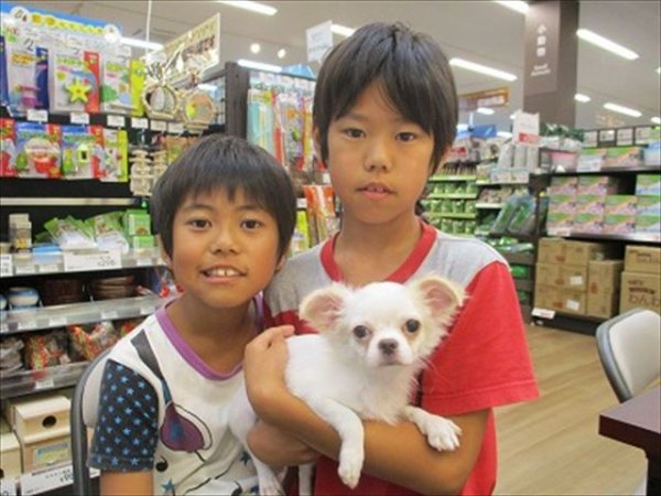 写真