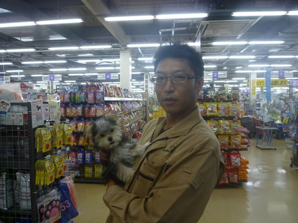 写真