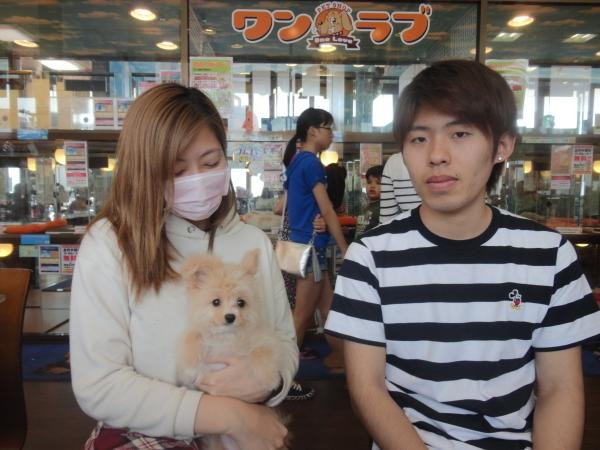 写真