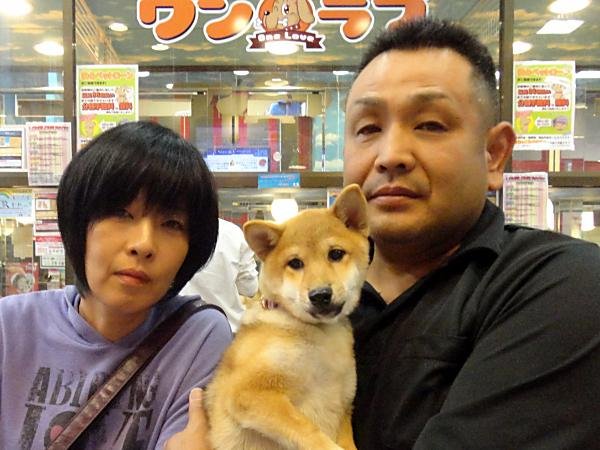 写真