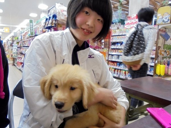 写真