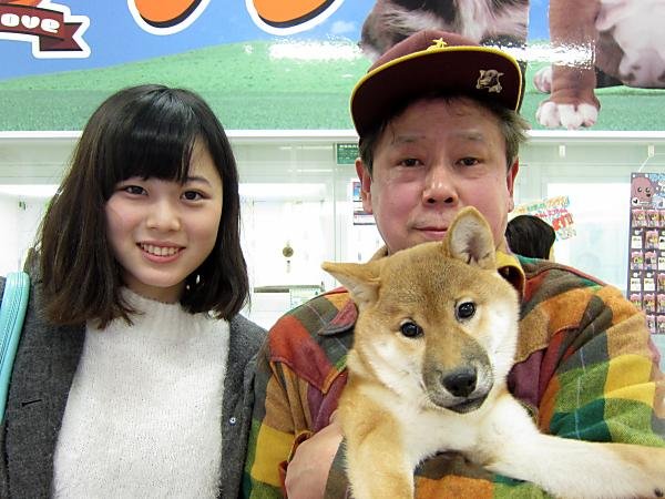 写真