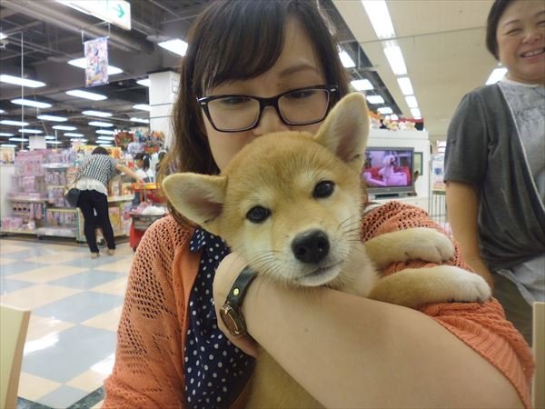 写真