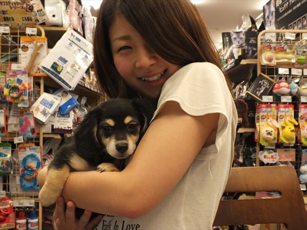 写真