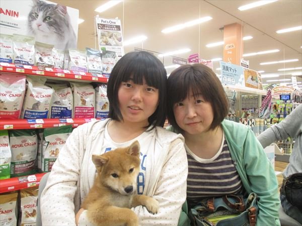 写真