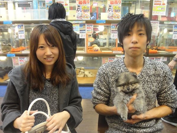 写真