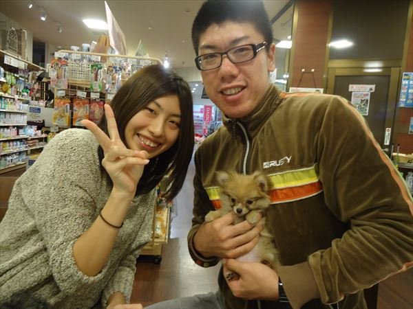 写真
