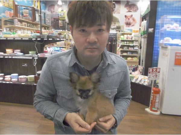 写真