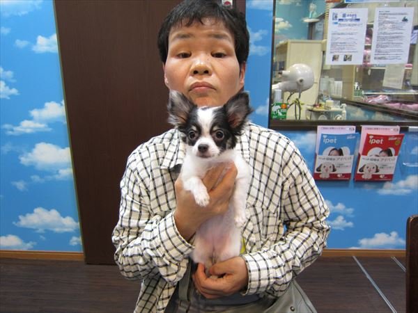 写真