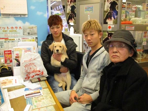 写真