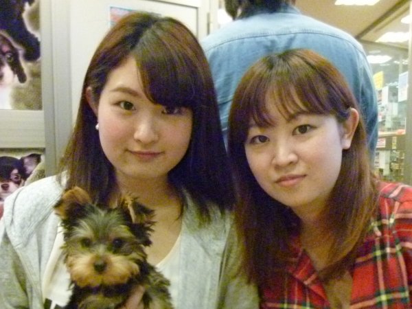 写真