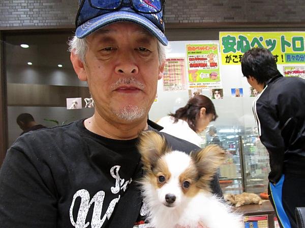 写真