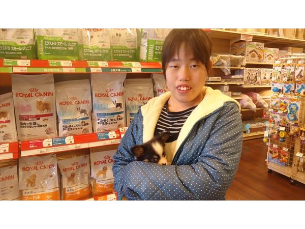 写真