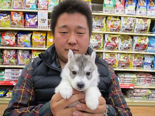 写真