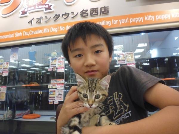 写真