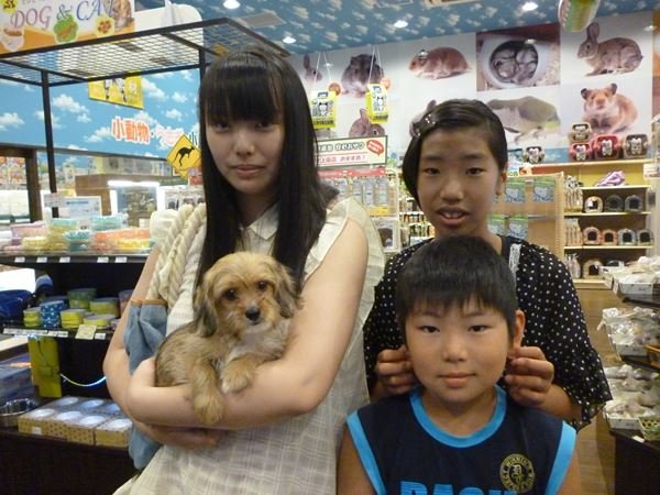 写真