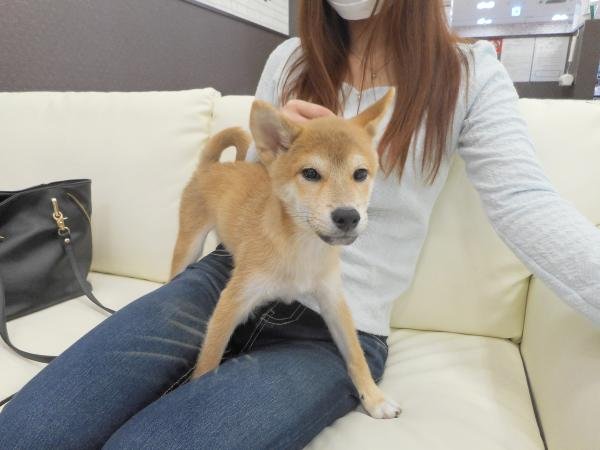 写真
