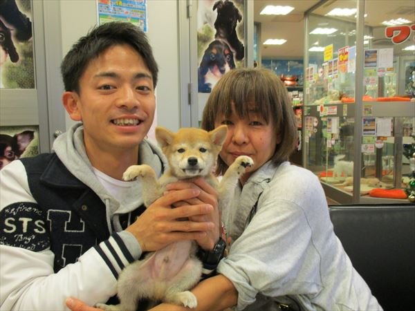 写真