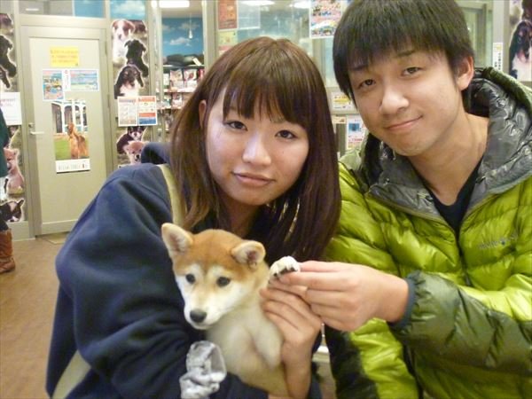 写真