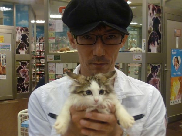 写真