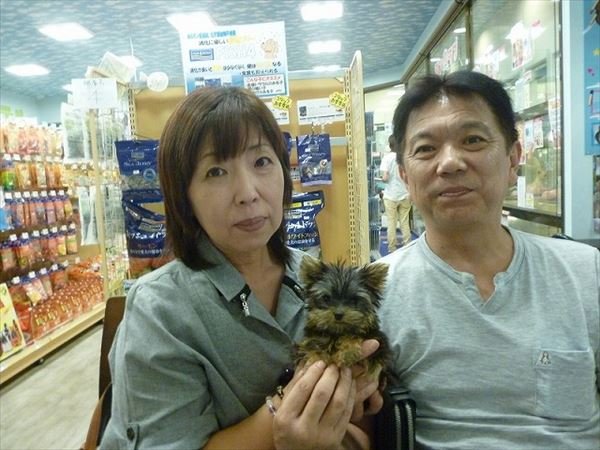 写真