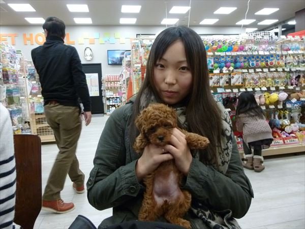 写真