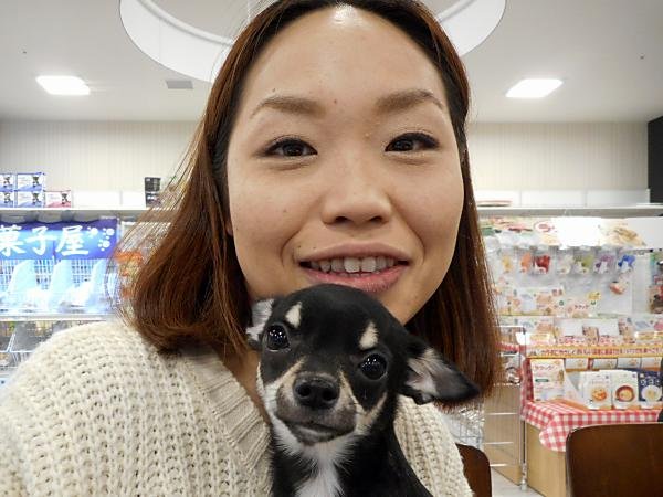 写真