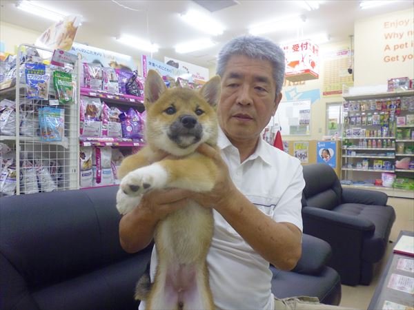 写真