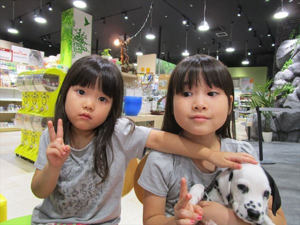 写真