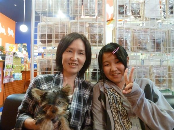 写真