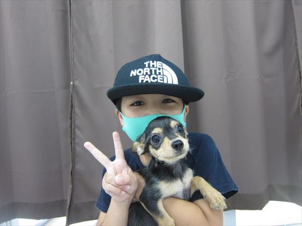 写真