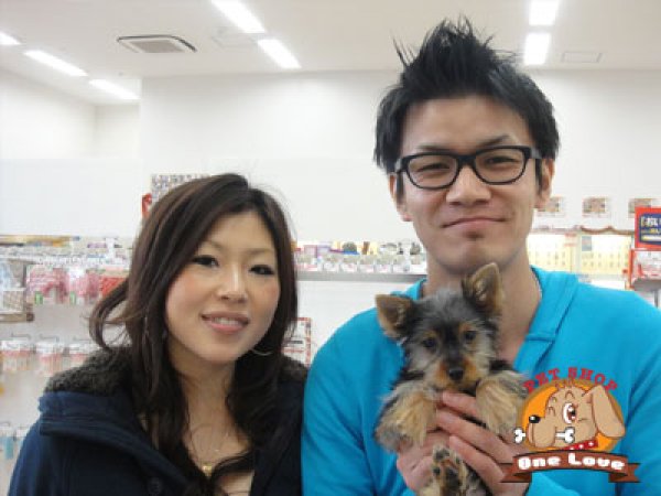 写真
