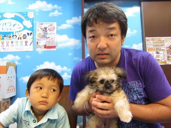 写真