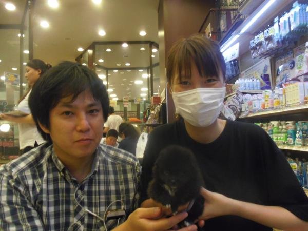 写真
