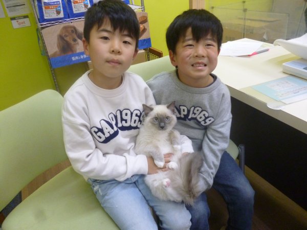 写真
