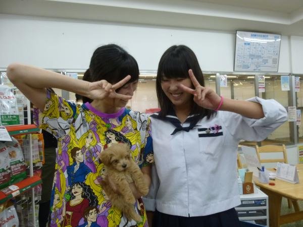 写真