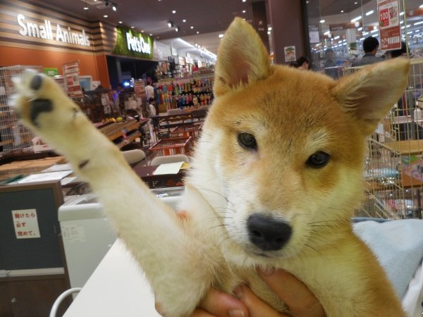 写真