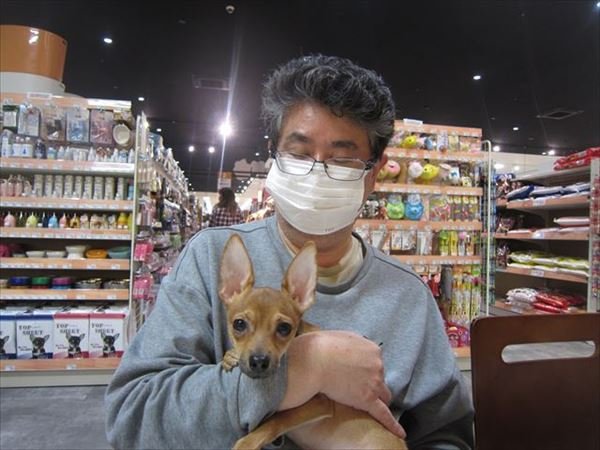 写真