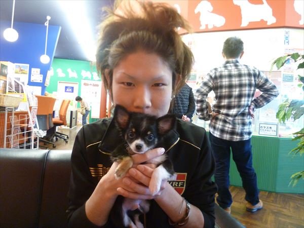 写真