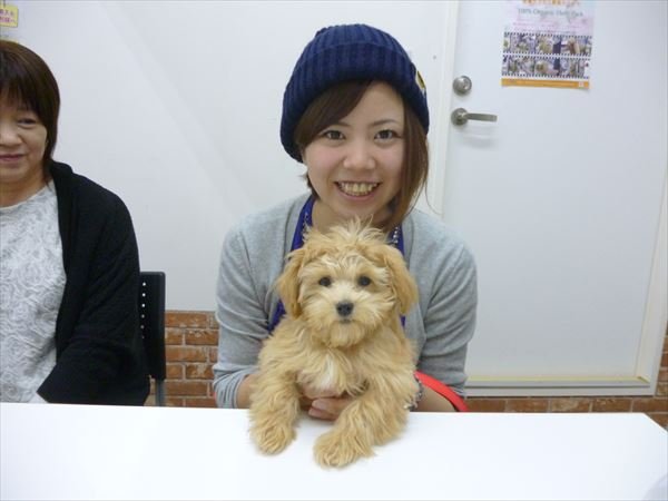 写真