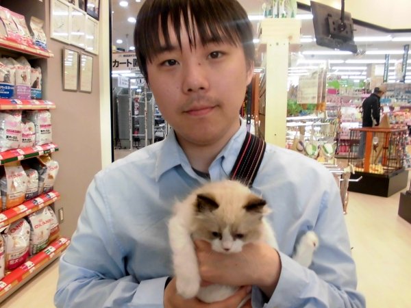 写真
