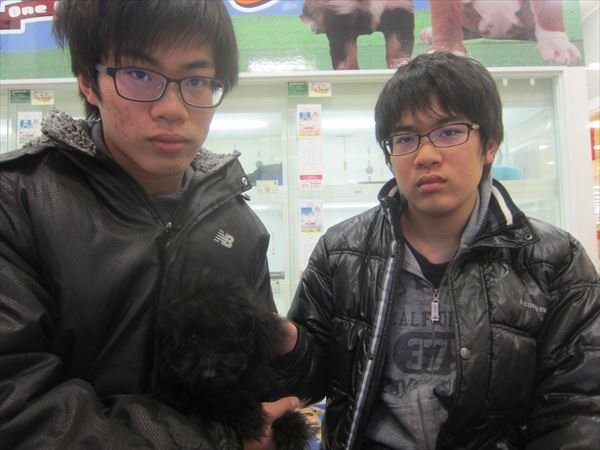 写真
