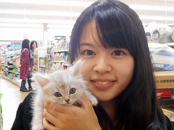 写真