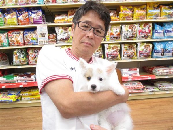 写真