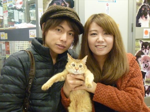 写真