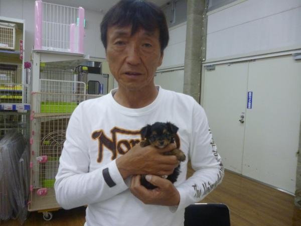 写真