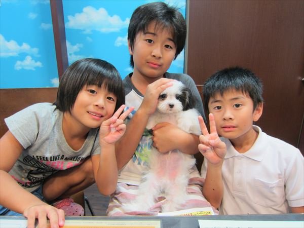 写真