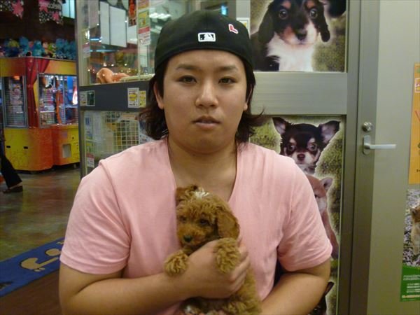 写真